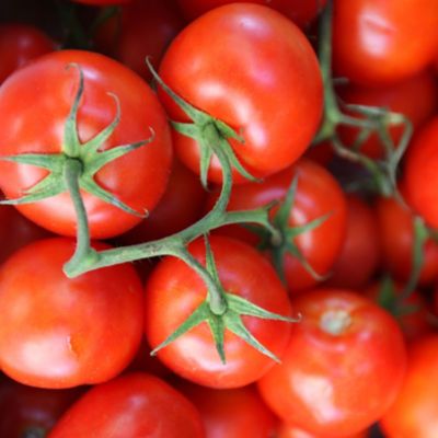 offset_comp_113298-retouched - Copy.jpg